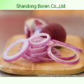 2015 China Original Onions in Bulk